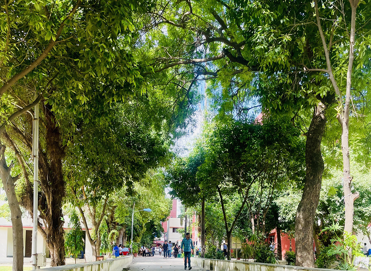 campus 4