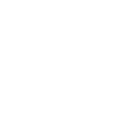 PE Icon