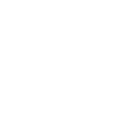 Rules & Regulations Icon